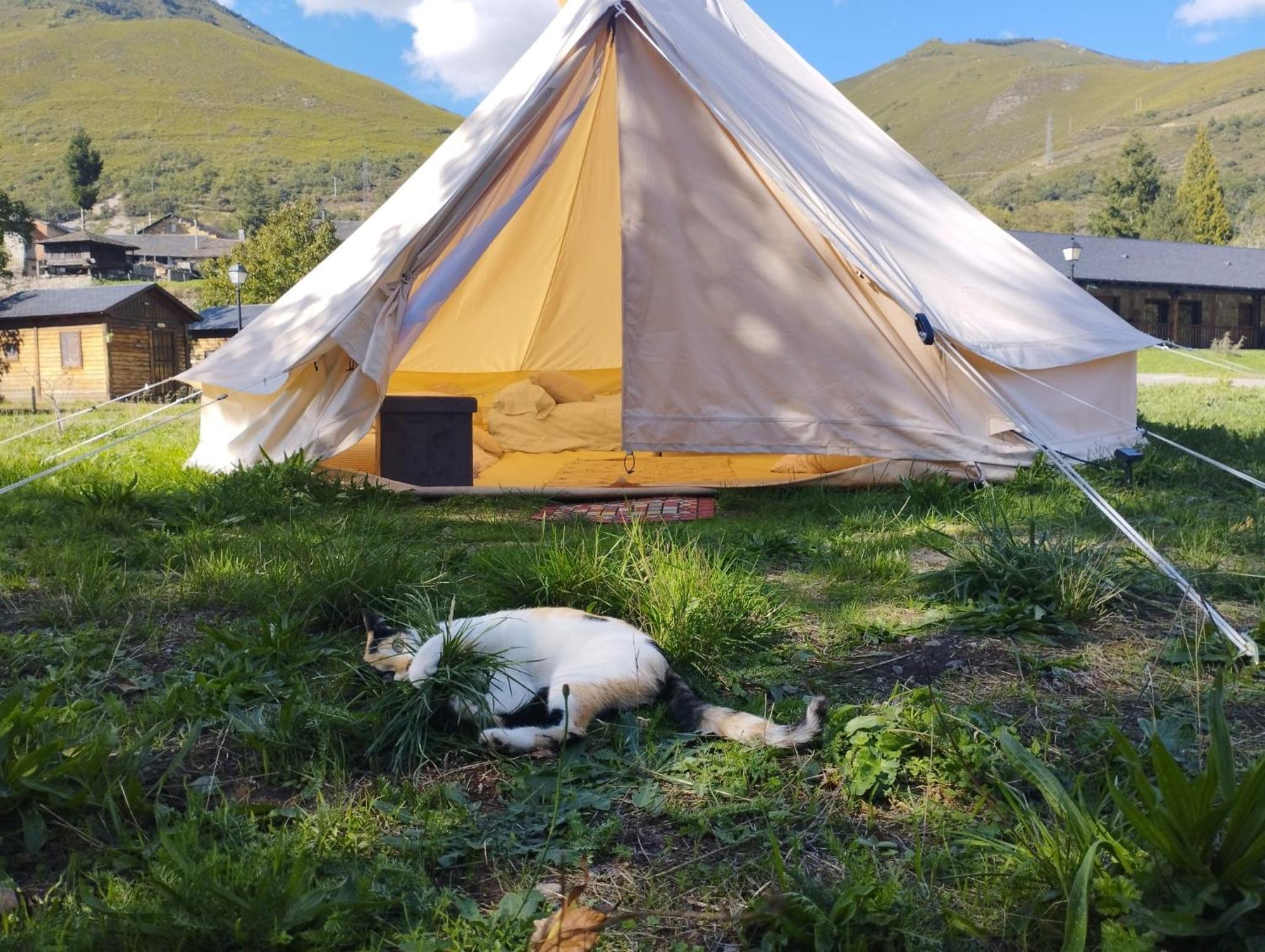 Camping La Zarapica - Palacios Del Sil Buitenkant foto